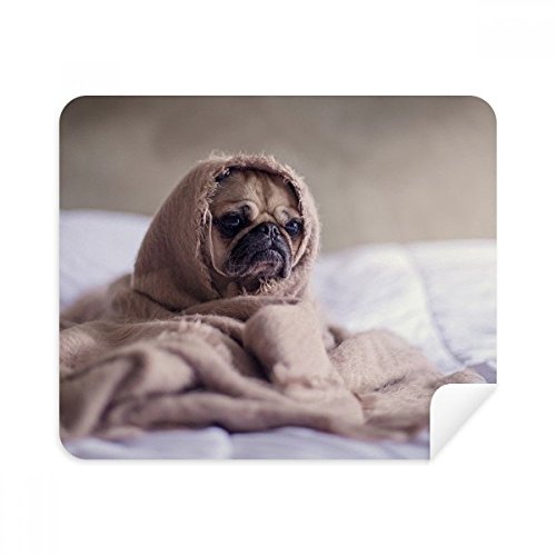 Téléphone cleaner écran lunettes chiffon bouledogue en suède