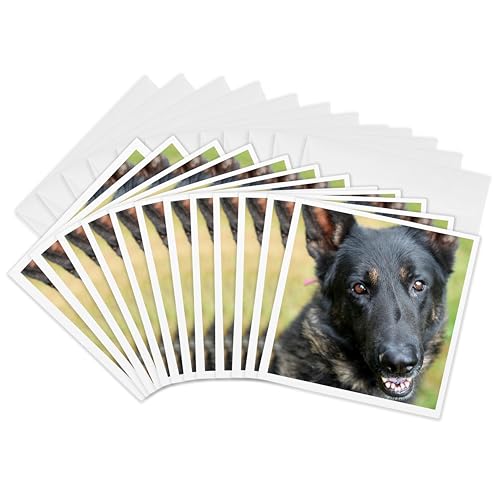 Berger allemand cartes de vœux lot de 12 formats 15x15 cm 3Drose