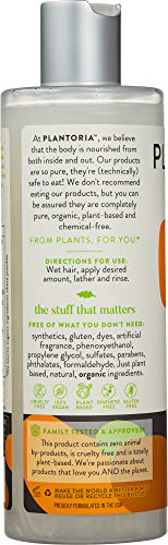 Plantoria Moroccan Argan Oil Shampoo | Plant Based Pure Vegan Organic Anti Dandruff & Frizz Hair Products For Women, Men, Teens, Kids | Natural Hair Shampoo With Coconut, Argan, Jojoba, Vitamin E #TOP2