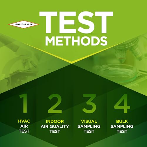 Prolab Mod Kit Types Mold ProLab Product Guide: 15 Best Things to Buy from ProLab (June. 2026 ...
