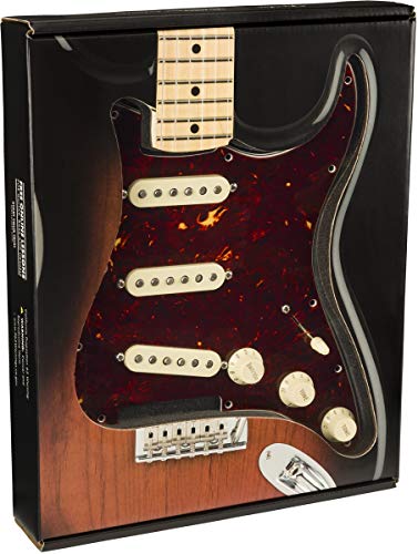 Fender Pré-Filaire Pickguard Strat Vintage Sans Bruit de Vintage – S/S/S – Shell de Tortue 0992345500 Rouge - Les Beatles, Paul McCartney, John Lennon, RIngo Starr, George Harrison Fender Pré-Filaire Pickguard Strat Vintage Sans Bruit de Vintage - S/S/S - Shell de Tortue 0992345500 Rouge – Image 6