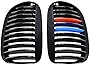 Astra Depot Compatible with Kidney Grille Inserts 2004-2010 BMW E63 E64 650i 650Ci 645Ci M6 2-Door (Glossy Black M-Color)