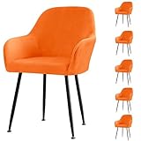 Transformez vos chaises avec nos housses de chaise en velours de qualité supérieure (85 % polyester + 15 % élasthanne). Ces housses épaisses, respirantes et élastiques offrent un toucher doux tout en améliorant l'élégance de votre décoration d'intérieur. La bande élastique à 360° garantit un ajustement parfait, évitant tout glissement pour un aspect bien rangé. Parfait pour les salles à manger, les salons et les événements spéciaux.