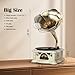 Gramophone Record Player Vintage,Retro Phonograph Vinyl Record Player,Horn Vinyl Tocadiscos DJ Turntable,Decorative Gramophone Speaker with USB Audio for Home/Villas/Restaurants/Parties/Classical Fans