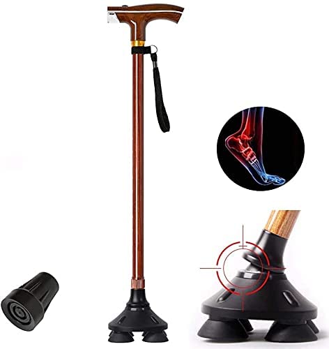 Canes old man stick HJZZQH pour des promenades sereines en forêt