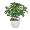 Artificial potted plant leaves 169 artificial shrubs plants arrangements fake eucalyptus leaves with vase faux greenery leaves for home garden table centrepieces garden decor  urban country home decor