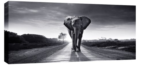 Grande toile prête à être accrochée montrant un grand éléphant - Noir / blanc - Dimensions : 113 x 52 cm