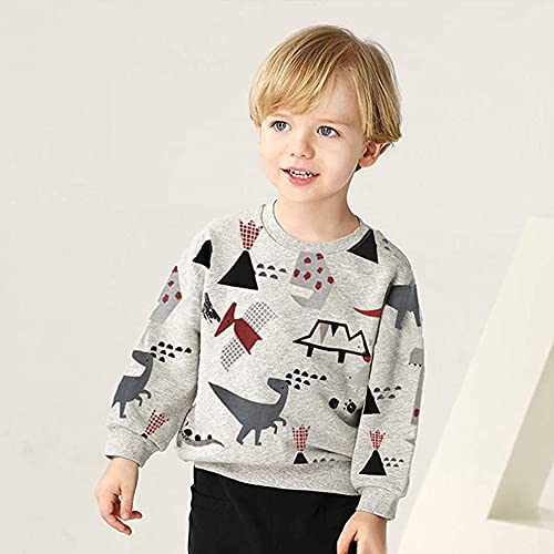 EULLA Bambini Ragazzi Maglione Felpa Manica Lunga