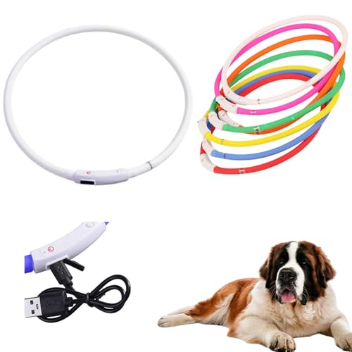 Lifetips ZgEo[i[hiSaint Bernardj Lp LED USB[d h y _炩VR 7FC{[ ԎU S΍ TCY 铹Cg (zCg)