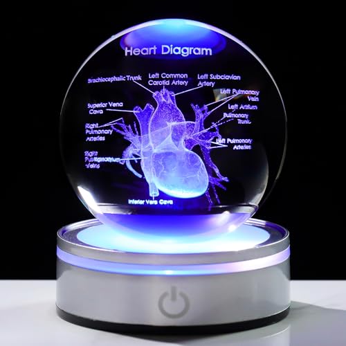 Image of Arikyrist Crystal 3D Human Heart 3.15 in. Ball Gifts for Men Women Doctor | Glass Sphere Etched Heart Model, Colorful Light Base, Graduation Keepsake, for Surgeon Cardiologist Anatomy Art Decor