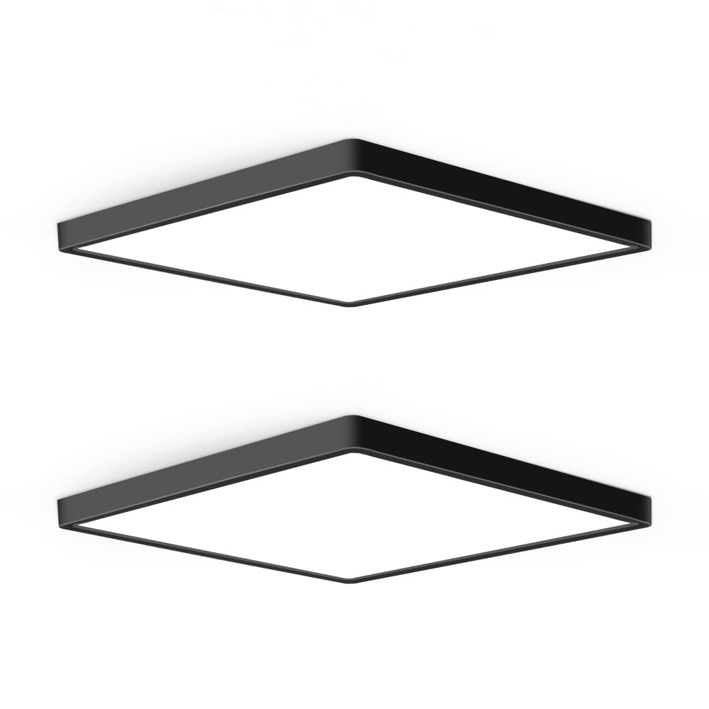 2Pack 12inch 24W LED Ceiling Light Flush Mount, 5000K Daylight White, 3200LM Black Flat Ceiling Lamp, Square Low Profile L... - Review, Price and Buying Guide