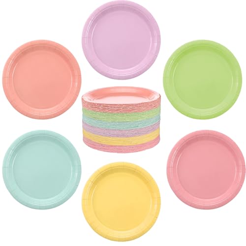 Fumusae 144 Pieces Pastel Rainbow Paper Plates 7 Inch Bulk