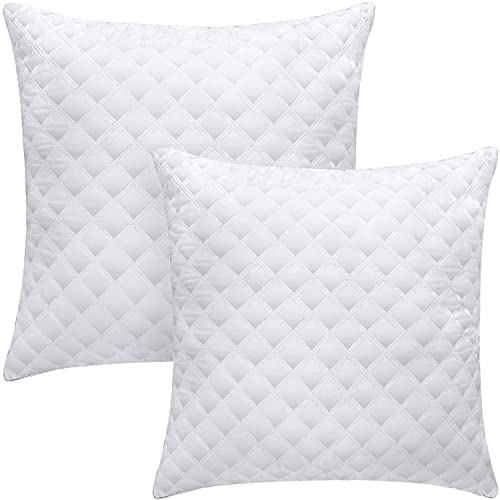 OOCMESS Oreiller 65x65 cm Lot de 2 Hotellerie Luxe Oreillers, Antiallergique Anti Acarien d'oreiller Moelleux Microfibre Lavable, Ergonomique Oreiller pour Dormeurs sur Le Dos Le Côté Le Ventre