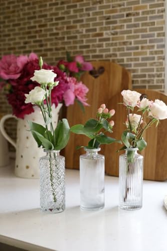 30 Kleine Mini Vasen Set, Glas Blumenvase,Vintage Kleine Vasen,Tischvase Verschiedene Größen für Küche,Esszimmer,Wohnzimmer,Badezimmer,für Tischdeko Mittelstücke