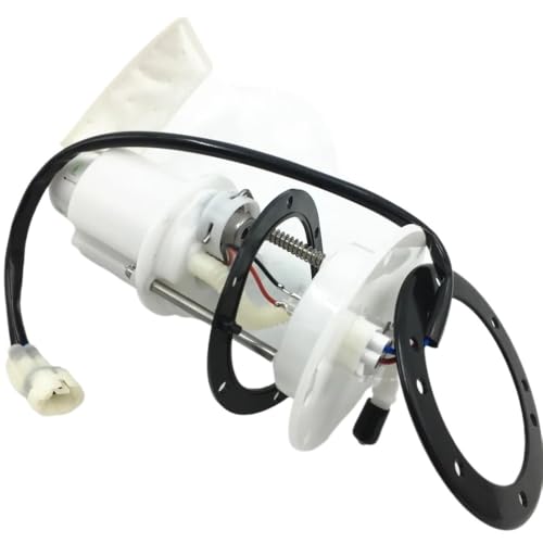 Pompe à carburant 901F-150900 pour résoudre les pannes de quad CF500