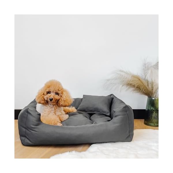Creative Pets Hundebett 65x55x19 cm | grau | Hundekorb Katzenbett | Bett mit Kissen | Hundesofa | weich bequem | Schlafplätze Möbel für kleine und mittelgroße Hunde – Bild 6