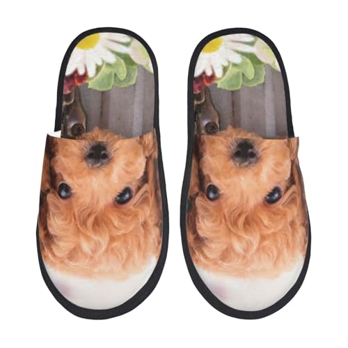 [JECASS] 킢q3C lC v[g Aj Xbp  Y 􂦂 gC qp p E Xbpjp LN^[ ObY  fB[X ~ 킢 qpm