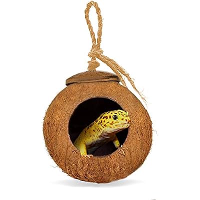 SunGrow Leopard Gecko Coco Hut, Gecko Climbing Accessories, Raw Coconut Shell Reptile Hide, Terrarium Habitat Decor, 2.5 Opening Diameter, with Fiber Loop for Hanging (1-Hole)