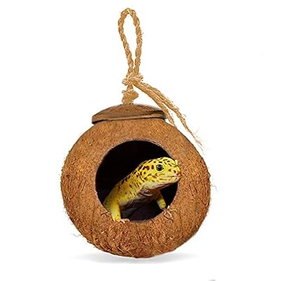 SunGrow Leopard Gecko Coco Hut, Gecko Climbing Accessories, Raw Coconut Shell Reptile Hide, Terrarium Habitat Decor, 2.5 Opening Diameter, with Fiber Loop for Hanging (1-Hole)