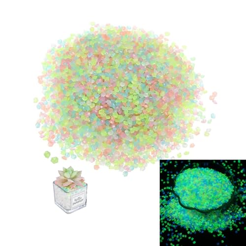 Yuqilin Cailloux Jardin Exterieur,10000 Pièces Lumineuses Galets Brillants Décoratifs Cailloux Aquarium Cailloux Decoratif Decoration Jardin Exterieur Décoration Aquarium Vase Decoratif(Coloré)