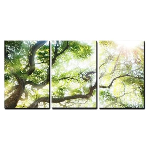 Diamond Painting Adulte 3 Pièces grand format kit complet broderie puzzle