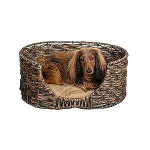 DBD4001B Perri 24″ x 18″ Classic Farmhouse Handwoven Hyacinth Oval Pet Bed with Machine-Washable Cushion, Brown