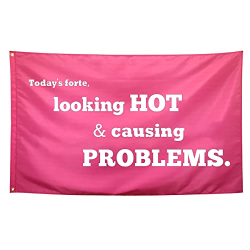 Seekamit Pink Humorous Flag 3x5ft for Room, Garden, Party