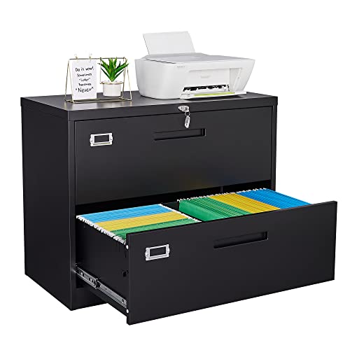 Letaya Metal Lateral File Cabinets with Lock,2 Drawer Steel Wide Filing...