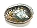 Zentron Crystal Collection Natural Abalone Shell -4