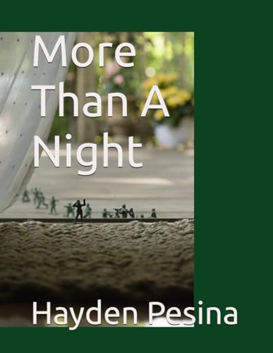  More Than A Night