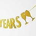 MAGJUCHE Gold glitter Cheers to 22 years banner,22th birthday party decorations