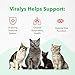 Vetoquinol Viralys Daily L-Lysine Gel for Cats and Kittens, Maple Flavored Lysine Supplement for Cats and Kittens to Support Immune Health, Normal Eye Function and Respiratory Health, 5oz