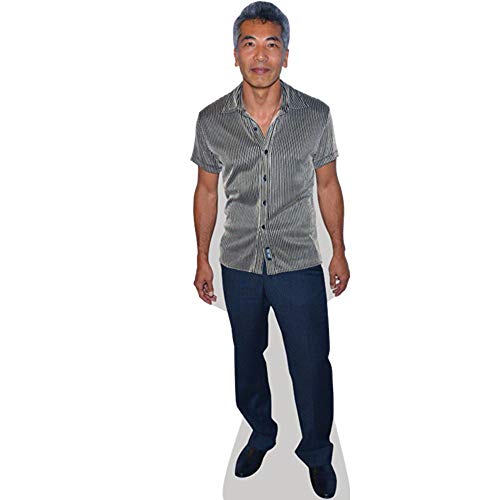 Bild: Hiro Kanagawa Pappaufsteller mini f�r 24,97 EUR bei amazon.de