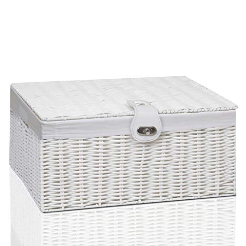 Clarisworld Cesto portaoggetti in resina intrecciato per baule con coperchio, chiusura e fodera rimovibile, 49 x 35 x 22 cm (bianco)