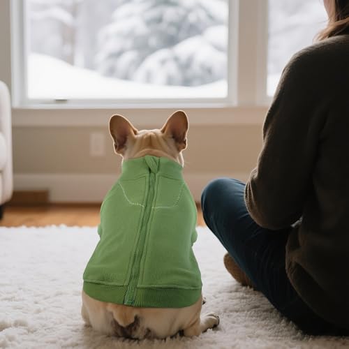 Manteau pour temps froid à col roulé doux petits grands chiens - 4