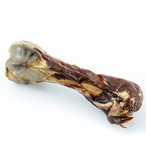 Gespetfood - Fémur de Cerdo - Hueso para Perros - 10 Unidades - 100% Carne de Cerdo - Sin OGM -...