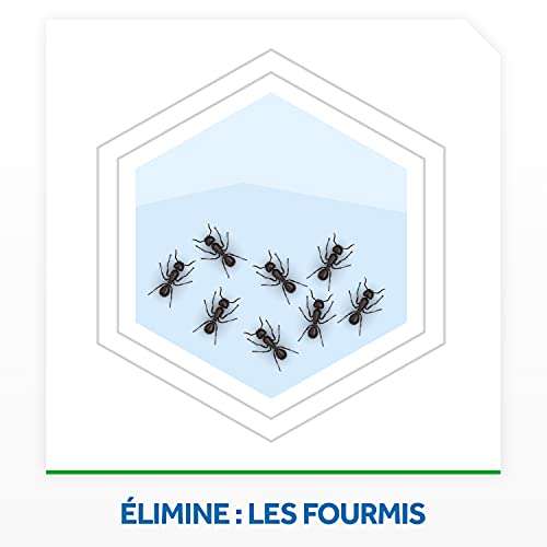 Anti-Fourmis Raid Boîte à Appât Extérieur Intérieur Solution Fourmilière 4 U - 3