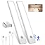 White Light|Motion Sensor