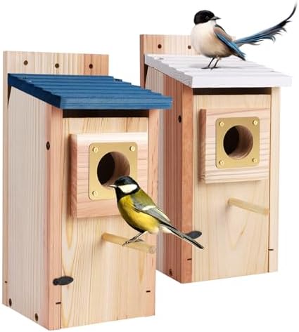 Amazon.com: Bird Houses for Outside with Metal Predator Guard for