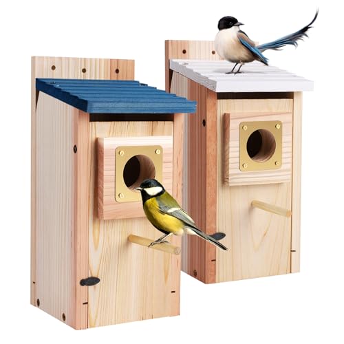 Best Woodstock Bird Houses: Enhance Your Garden with Style! - Totally