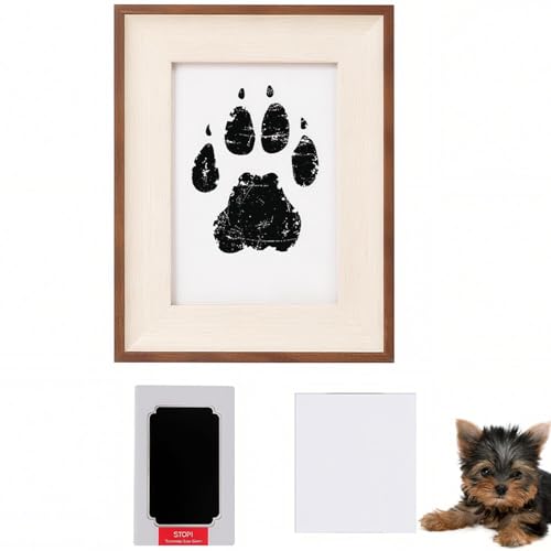 Lifetips [NV[eA ybgp  X^v Lbg ^  ``X^v `쐬Lbg LO  Ȃ `    ` ^ ȒP S y Ճpbh IWi vg ] AObY