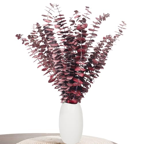 Decoración de eucalipto Aufisi - 22 Piezas de eucalipto seco (43 cm +), eucalipto seco para decoración, Bodas, Accesorios para el hogar, arreglo de Flores secas, Rojo