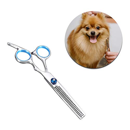 Tesoura Profissional Corte Pelos Animais Estimação 6 Polegadas Design Moderno Preto Detalhe Azul Aço
