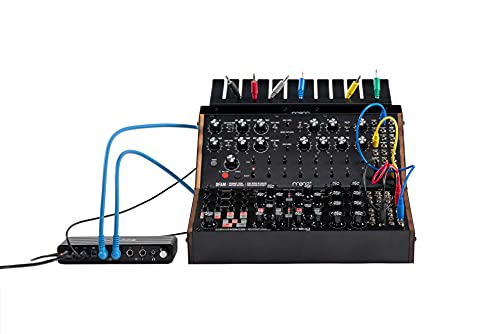 Moog Sound Studio Subharmonicon and DFAM Semi Modular Synthesizer Bundle - Thumbnail 3