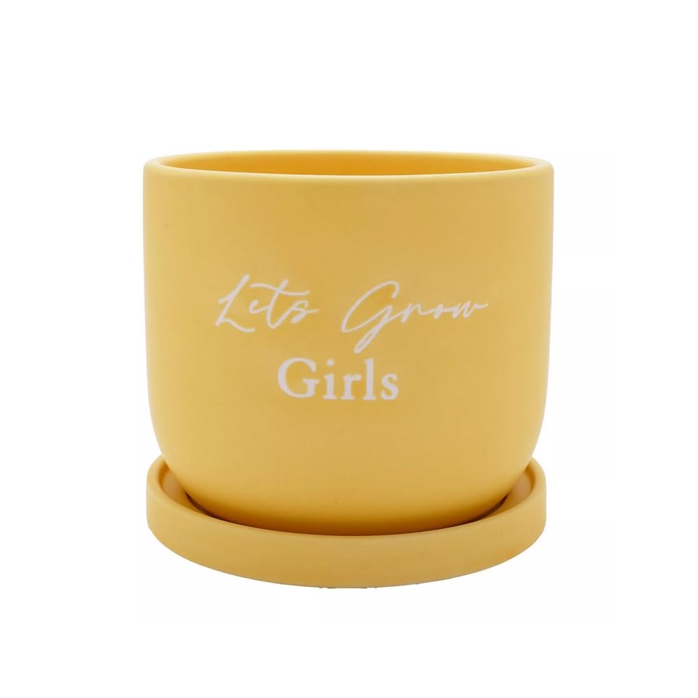 Widdop And Co Girls Multicolor Country Living Lets Grow Plant Pot Yellow Planter With Saucer