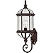 Nuvo Lighting 45923634987 One Light Wall Lantern, Bronze/Dark