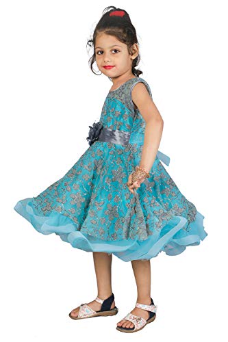 pari fashion Baby Girls Designer Net 