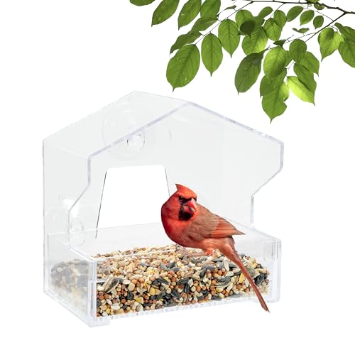 Perky-Pet 345 Clear Outdoor Window Bird Feeder with Strong Suction Cups – 1/2 Lb Seed Capacity