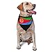 Eritrea Flag Triangle Dog Bandana Scarf Accessories for Pet Bibs