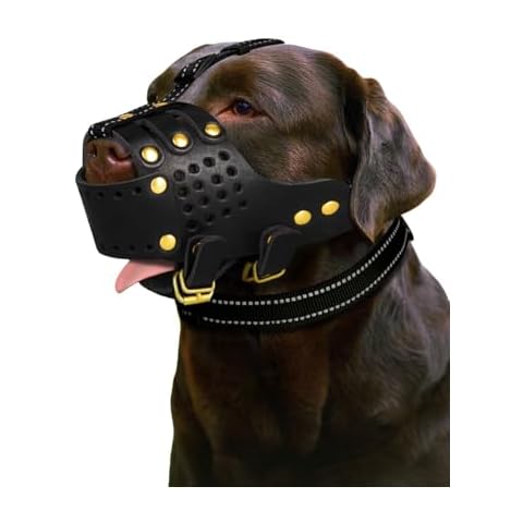 Dog Muzzle, Leather Basket Soft Muzzles Medium Large Breeds, Pitbull Dog Muzzle Amstaff Muzzles Staffordshire Terrier, German Shepherd Dalmatian Doberman Adjustable Breathable Muzzles for Dog (L) Cover